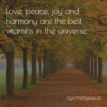 love-joy-peace-best-vitamins-in-the-world.jpg