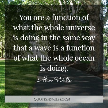You are a function of what the whole universe is doing in the same way that a wave is a function of what the whole ocean is doing.