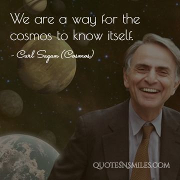 We are a way for the cosmos to know itself.