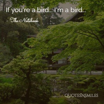 If you're a bird... I'm a bird...