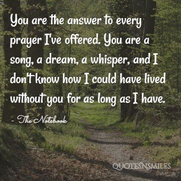 You are the answer to every prayer I've offered. You are a song, a dream, a whisper, and I don't know how I could have lived without you for as long as I have.