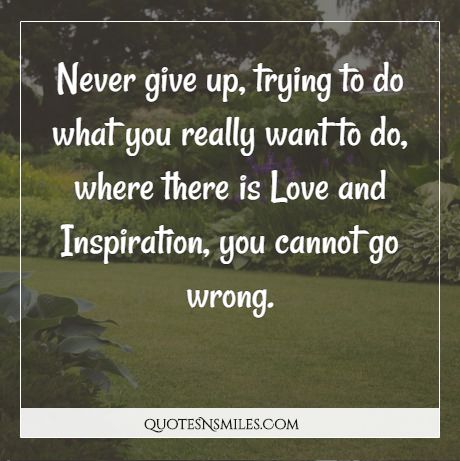 Never give up, trying to do what you really want to do, where there is Love and Inspiration, you cannot go wrong.