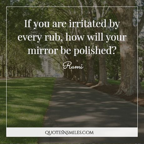 If you are irritated by every rub, how will your mirror be polished?