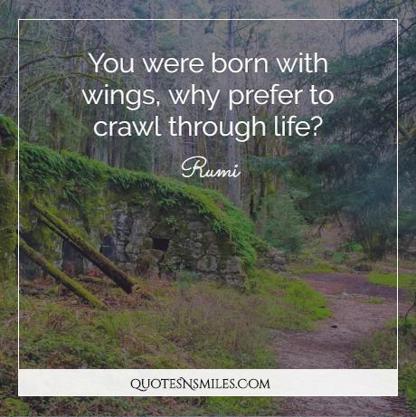 You were born with wings, why prefer to crawl through life?