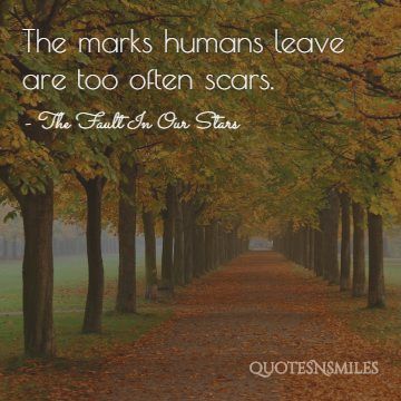 The marks humans leave are too often scars.
