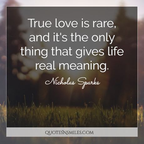 True love is rare, and it's the only thing that gives life real meaning.