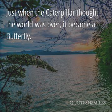 butterfly change picture quote