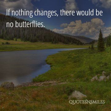 no butterflies change picture quote