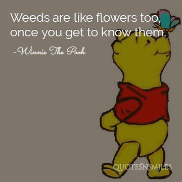 weeds are like flowers eeyore winnie the pooh picture quote