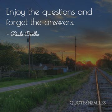 Enjoy the questions Paulo Coelho Picture Quote