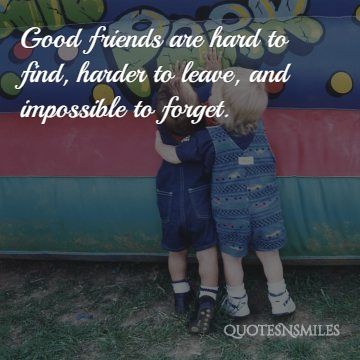 good-friends-are-hard-to-find-friendship-picture-quote