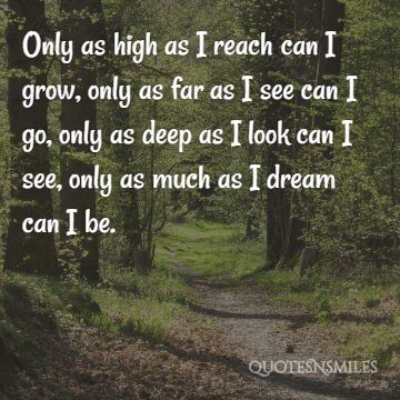 only-as-much-can-i-be-dream-big-picture-quote