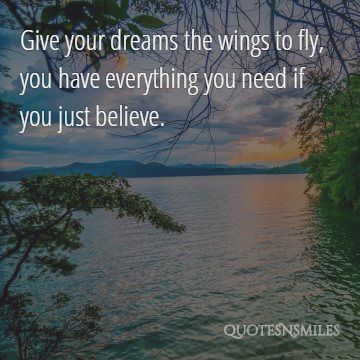 wings-to-fly-dream-big-picture-quote