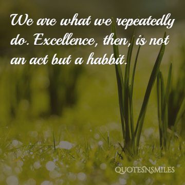 Wea-re-what-we-do,-becomes-habit-focus-picture-quote