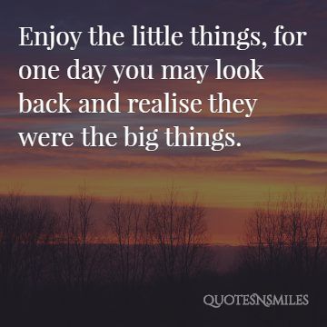 enjoy-the-little-things-simplicity-picture-quote