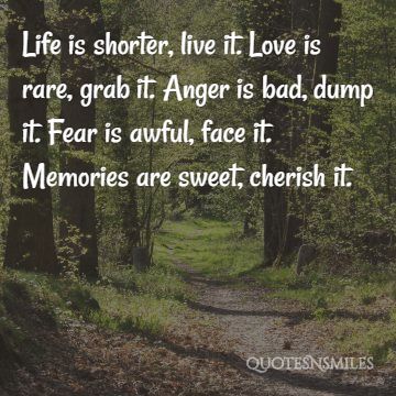 15 Unforgettable Memory Picture Quotes Famous Quotes Love Quotes Inspirational Quotes Quotesnsmiles Com