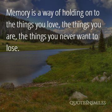 9.things you never want to lose memories picture quote