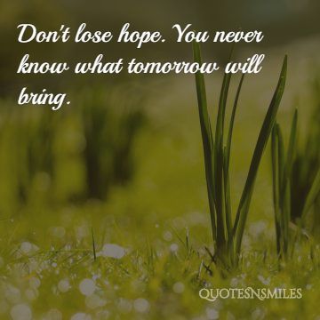 dont lose hope life picture quote