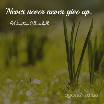 never ever give up winston churchill picture quote