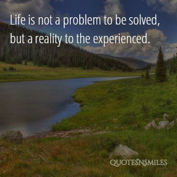 reality to be experienced life picture quote