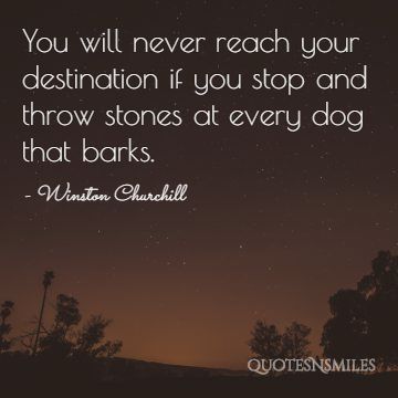 stones at every dog winston churchill picture quote