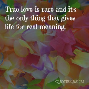 true love picture quote