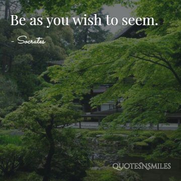 be as you wish to seem Socrates Picture Quotes