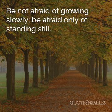 be afraid of standing still in the now picture quote