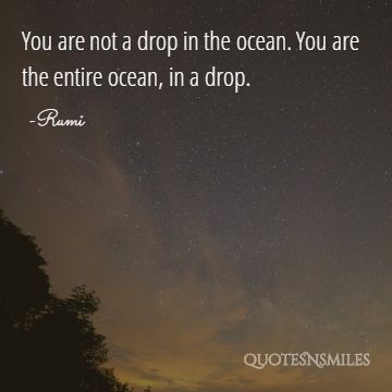 drop in the ocean Rumi Picture Quote