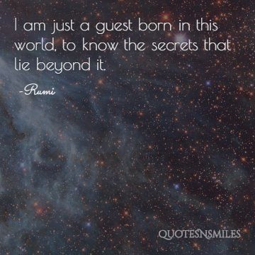 guest Rumi Picture Quote