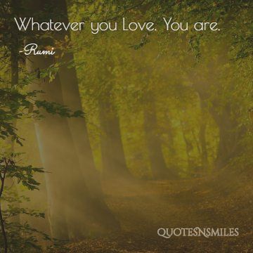 what you love you are Rumi Picture Quote