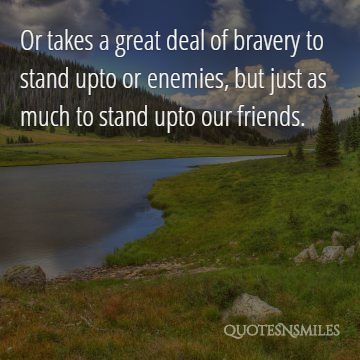 stand up to friends harry potter picture quote