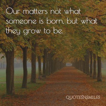what they grow to be harry potter picture quote