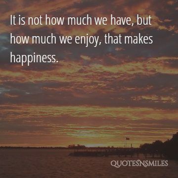 what we enjoy that makes us happy picture quote