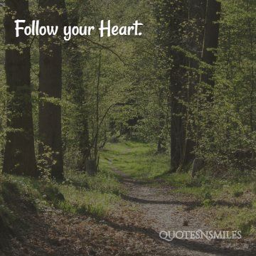 follow your heart pic