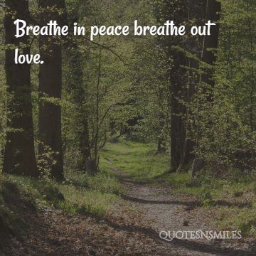 breathe in peace breathe out love