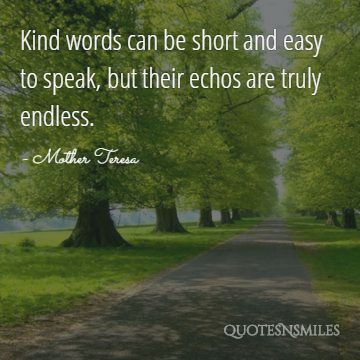echos are endless Mother Teresa Picture Quote