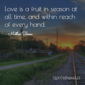 love is a fruit Mother Teresa Picture Quote