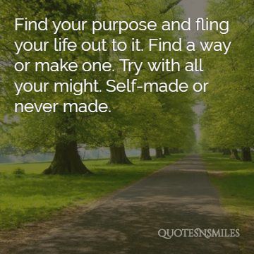find your purpose