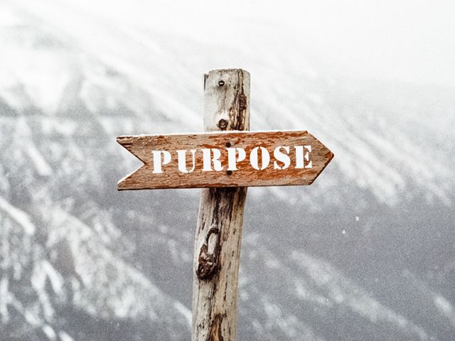 (Images)  23 Picture Quotes That Will Help You Find Your Purpose