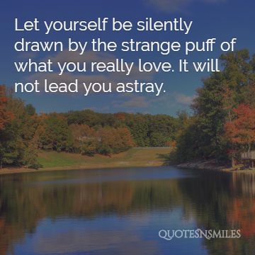 it will not lead you astray
