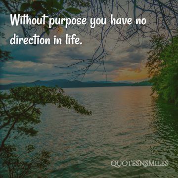 without purpose you have no direction