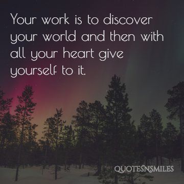 your work to discover