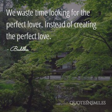 create the perfect love buddha picture quote
