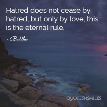love not hatred buddha picture quote