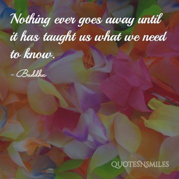 nothing ever goes away buddha picture quote