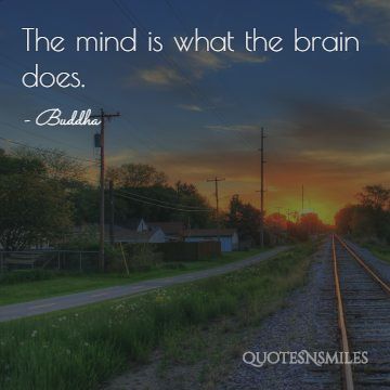 the mind is what the brain does buddha picture quote
