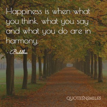 what you think and say are in harmony buddha picture quote