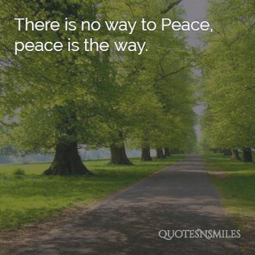 peace is the way