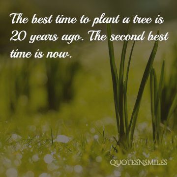 (Images) 20 Picture Quotes To Remind You To Live In The NOW | Famous ...